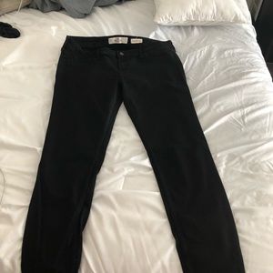 Hollister low rise pants